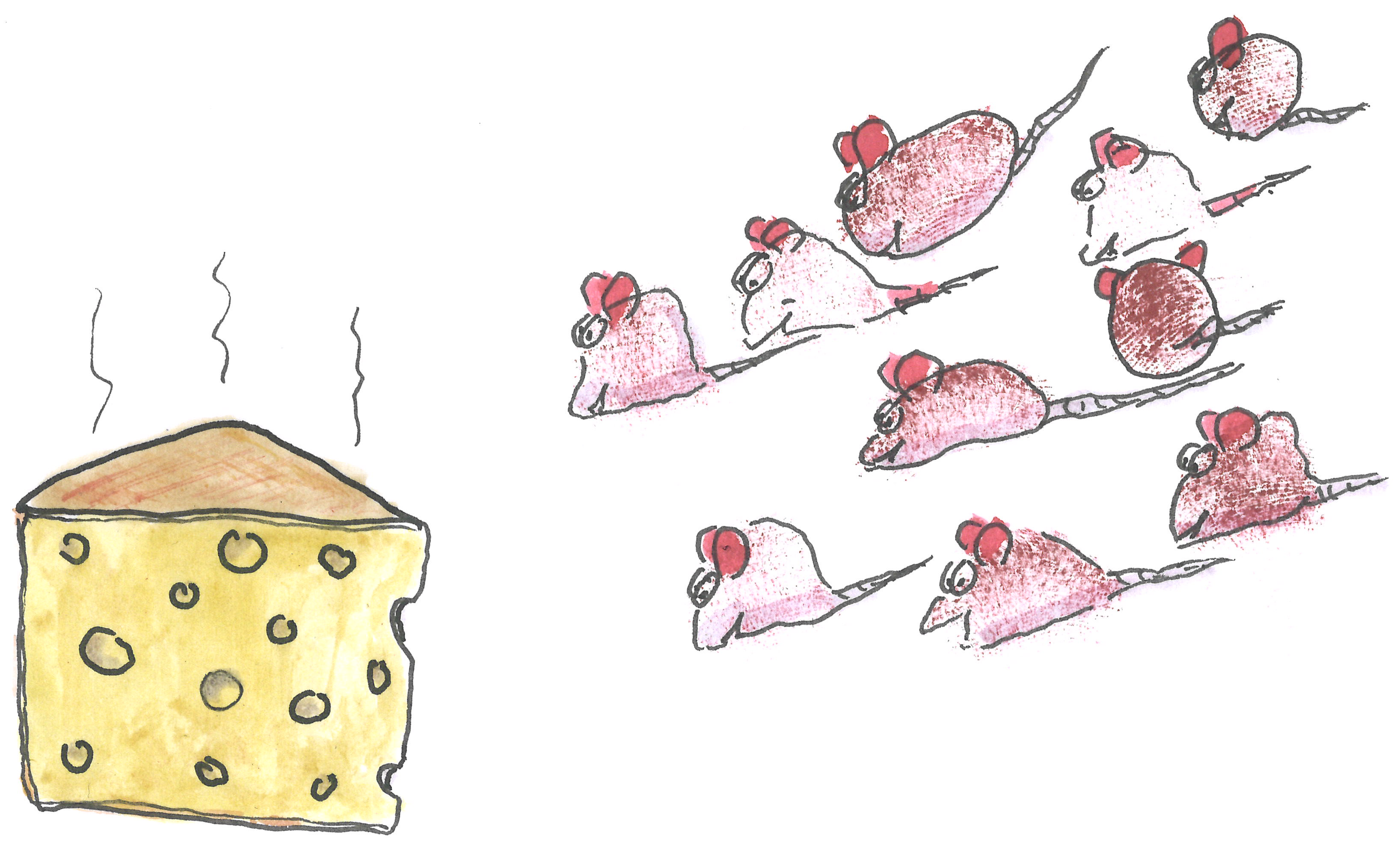 Chees and mice